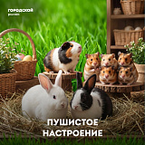 В зоомагазине №78 пополнение!