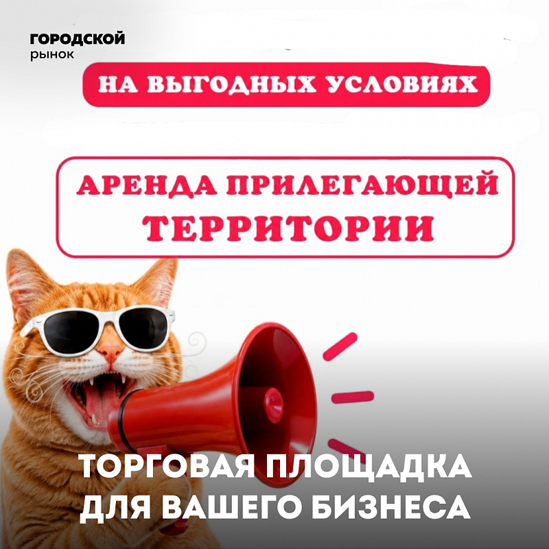 Нужна открытая площадка для торговли или демонстрации продукции?